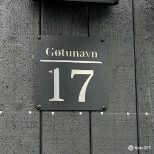 Hรบsaskelti โ Nordic Line (Svart/Silvur)