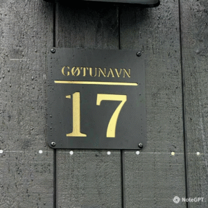 Hรบsaskelti โ Nordic Line (Svart/Gull)